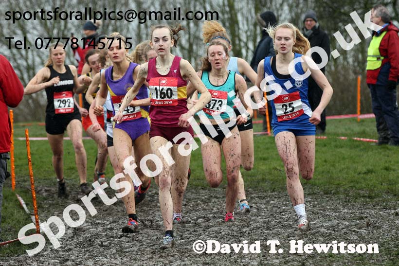 Senior girls 2019 New Balance English Schools Cross Country Champs, Temple Newsam, Leeds. Photo:  David T. Hewitson/Sports for All Pics